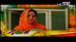 Googly Mohalla Worldcup Special Episode 11 on Ptv Home in High Quality 3rd March 2015