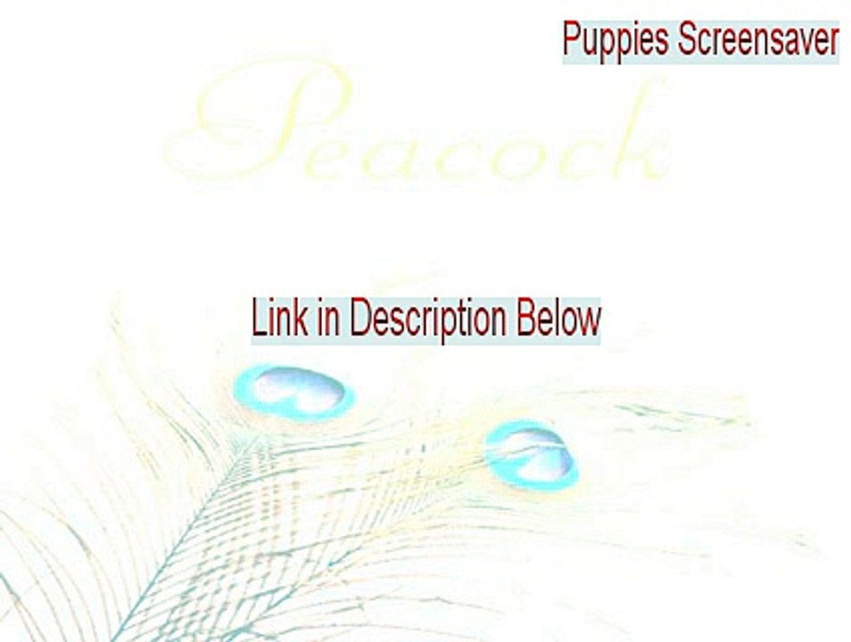 Puppies Screensaver Full (Instant Download 2015)