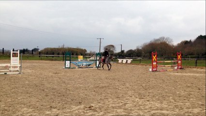 Kiltartan Samsel connemara a vendre