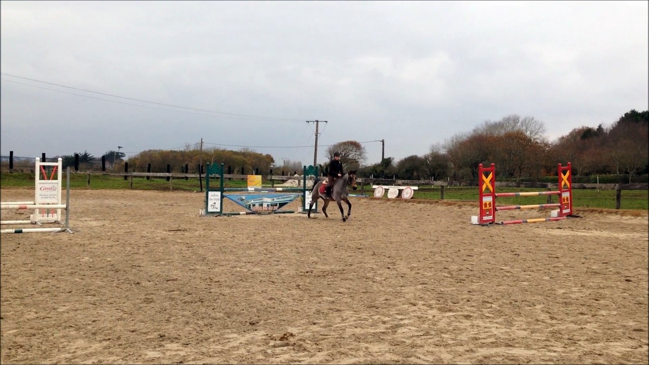 Kiltartan Samsel connemara a vendre