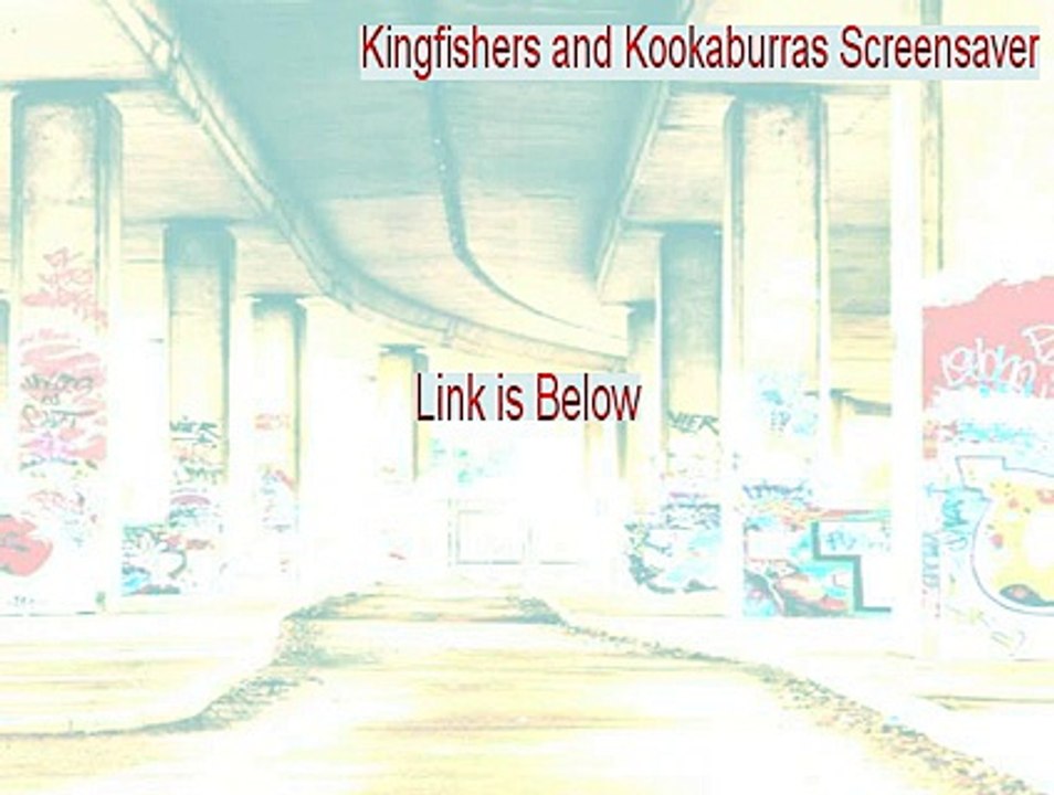 Kingfishers and Kookaburras Screensaver Download Free (Free Download 2015)