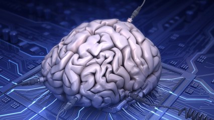 Will Artificial Intelligence Kill Us All?