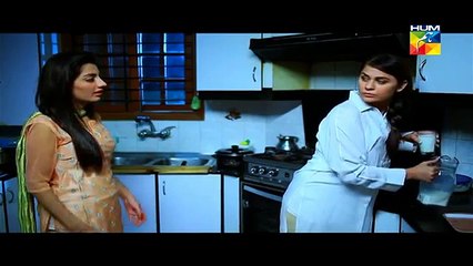 Sartaj Mera Tu Raaj Mera Episode 6 on Hum Tv in High Quality 3rd March 2015