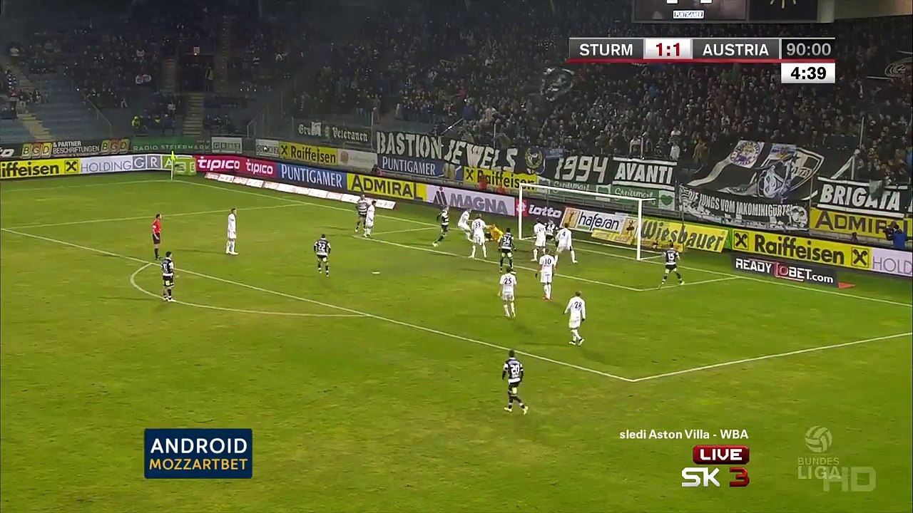 Simon Piesinger 2:1 | Sturm Graz - Austria Wien 03.03.2015 HD