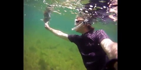 Holy crap! Look at the size of that carp