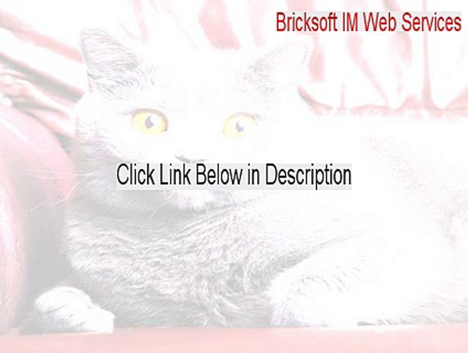 Bricksoft IM Web Services Full (Download Here 2015)