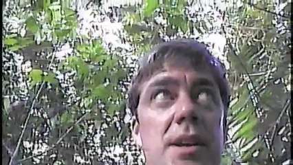 I fed a wild Howler Monkey