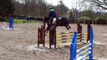 Aubiboy d'oré, entrainement jeunes chevaux hennebont 03 / 03 / 2015