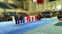 Okul Sporları Wushu Türkiye Şampiyonası  2014  2015