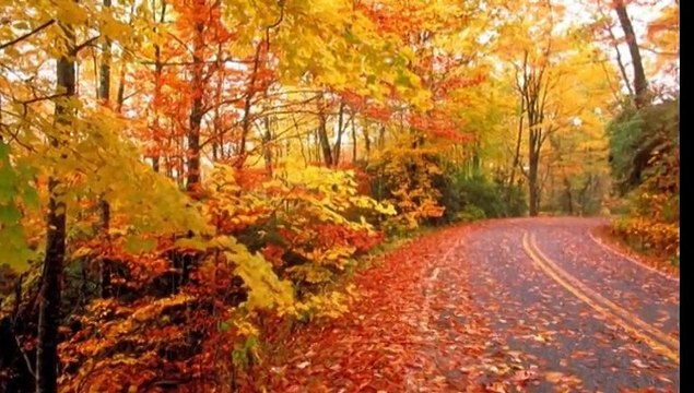 Я просто тебя люблю Владимир Амада