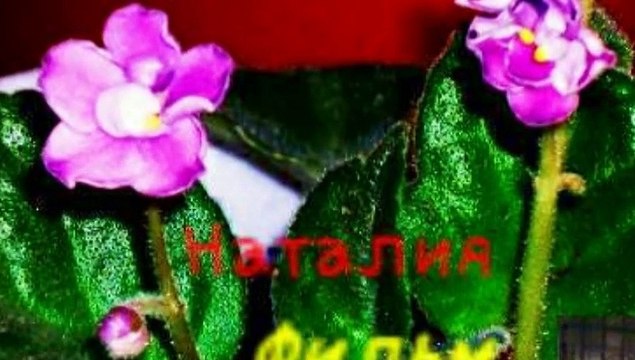 Джон Соколофф Письма