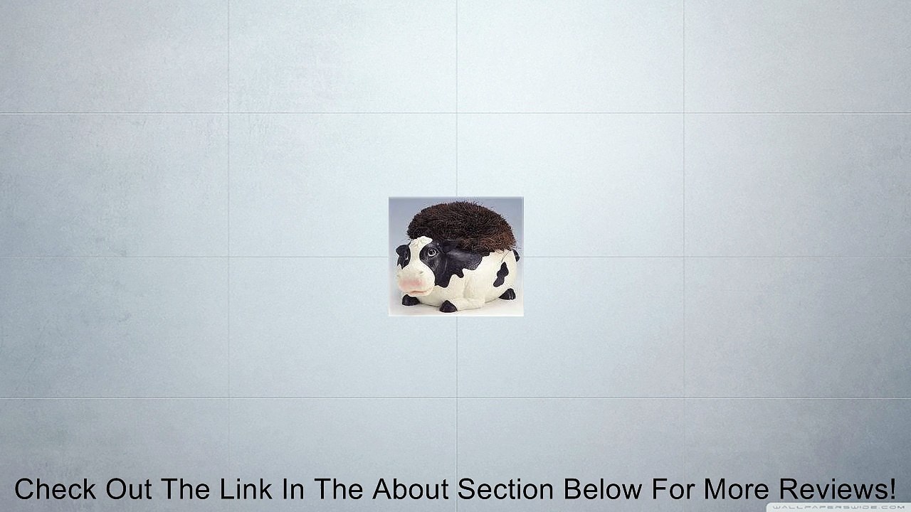 COW shoe scraper BOOT BRUSH doorstop door stop Decor Review