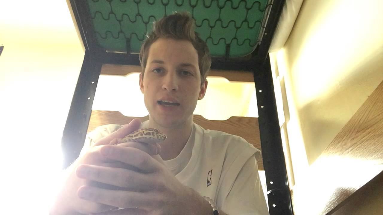 JakesGotHerps 2015 And Beyond (Channel Updates)