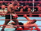 Mike Tyson Mma-Pride-k1-Ufc
