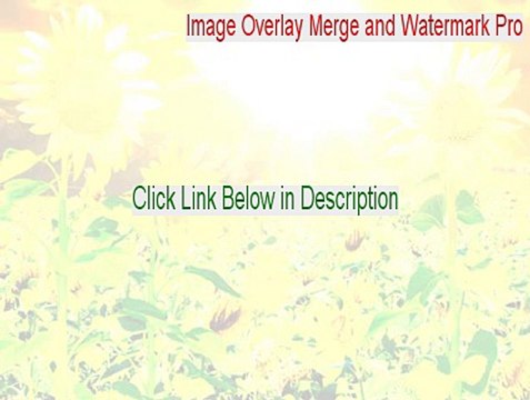 Image Overlay Merge and Watermark Pro Download Free - Legit Download
