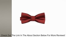 Colorful Polka Dots Bow Tie,Adjustable Bowtie Fashion Accessories for Pet Dog Cat (Red) Review
