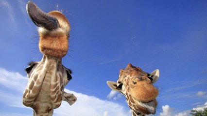 Điều trị ung thư tinh hoàn đâu phải khó khăn