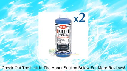 Bio-Dex Fast Acting Algaecide Skill-It 32oz. 2-Pack SK132-2 Review