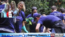 DIA INTERNACIONAL DEL VOLUNTARIADO DIA MUNDIAL DEL VOLUNTARIADO - VOLUNTARIADO -VOLUNTARIO-CRUZROJA