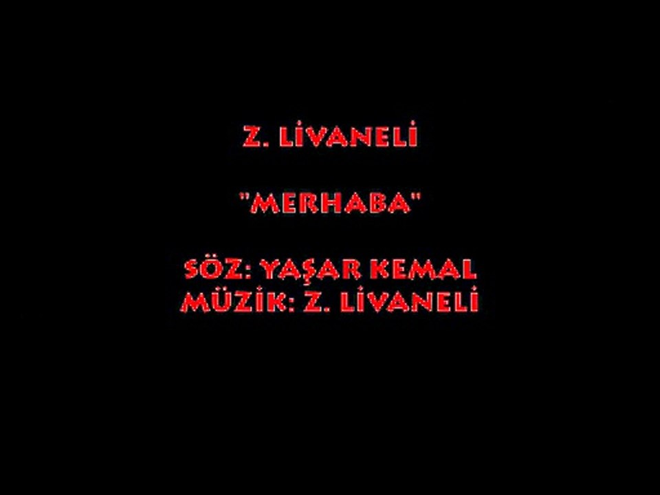 ZÜLFÜ LİVANELİ: MERHABA
