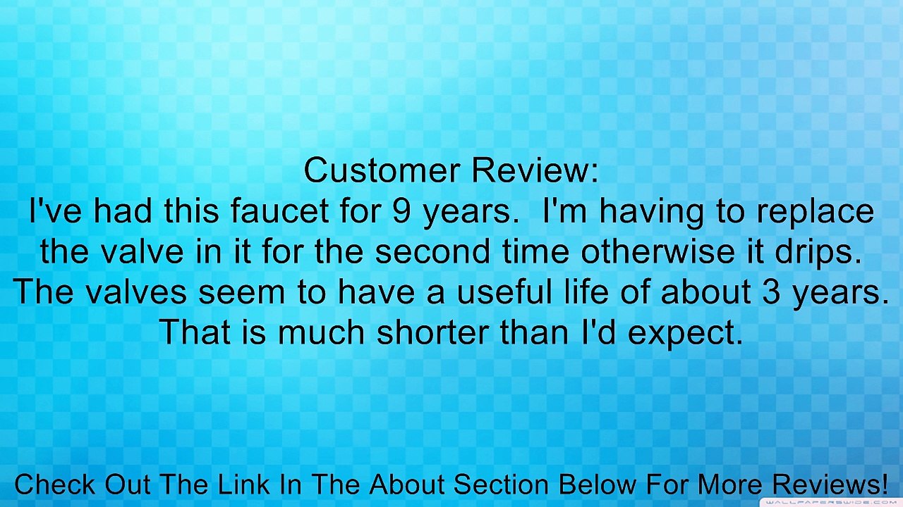 Water Inc WI-FA500HC-SN EverHot Lead Free Hot/Cold Faucet Only with Long Reach Spout in Satin Nickel Review