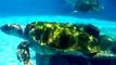The mysterious of ocean turtles (video  fish water marine deep sea pet beach)
