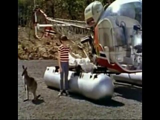 Skippy 4 - Adelaide Jerks