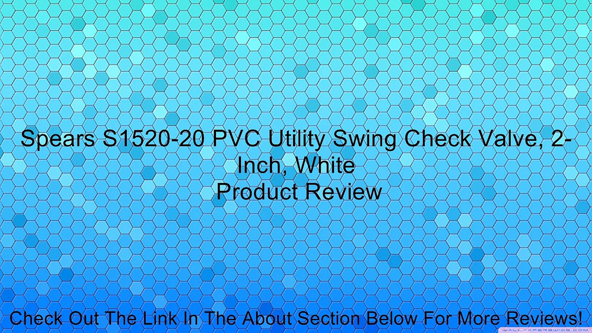 White Spears S152020 PVC Utility Swing Check Valve 2Inch tillescenter