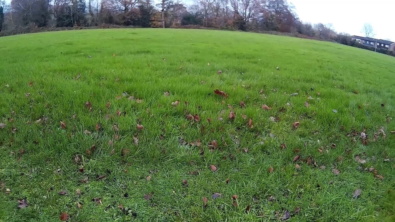 local high shoot
