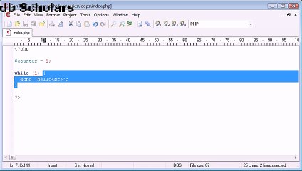 PHP Lecture (25) while Loop_x264
