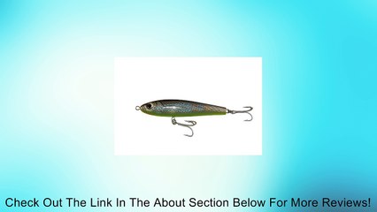 Braid GT Minnow Lure, 200mm/7.9-Inch, Skipjack Review