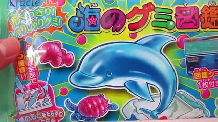 Kracie Popin Cookin Umi No Gumi Zukan Sea Animal Gummy Candy DIY Kit!