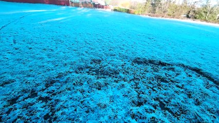 local snowy practice-defishr