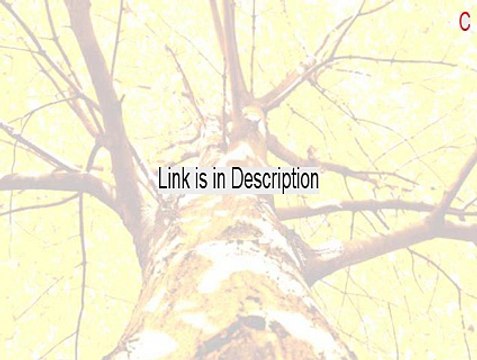 C.P. Technologies Inc. RADEON X300 Secondary Full Download (Free Download)