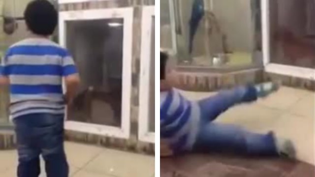 Un enfant veut faire peur à un chien mais il se retrouve le cul par terre