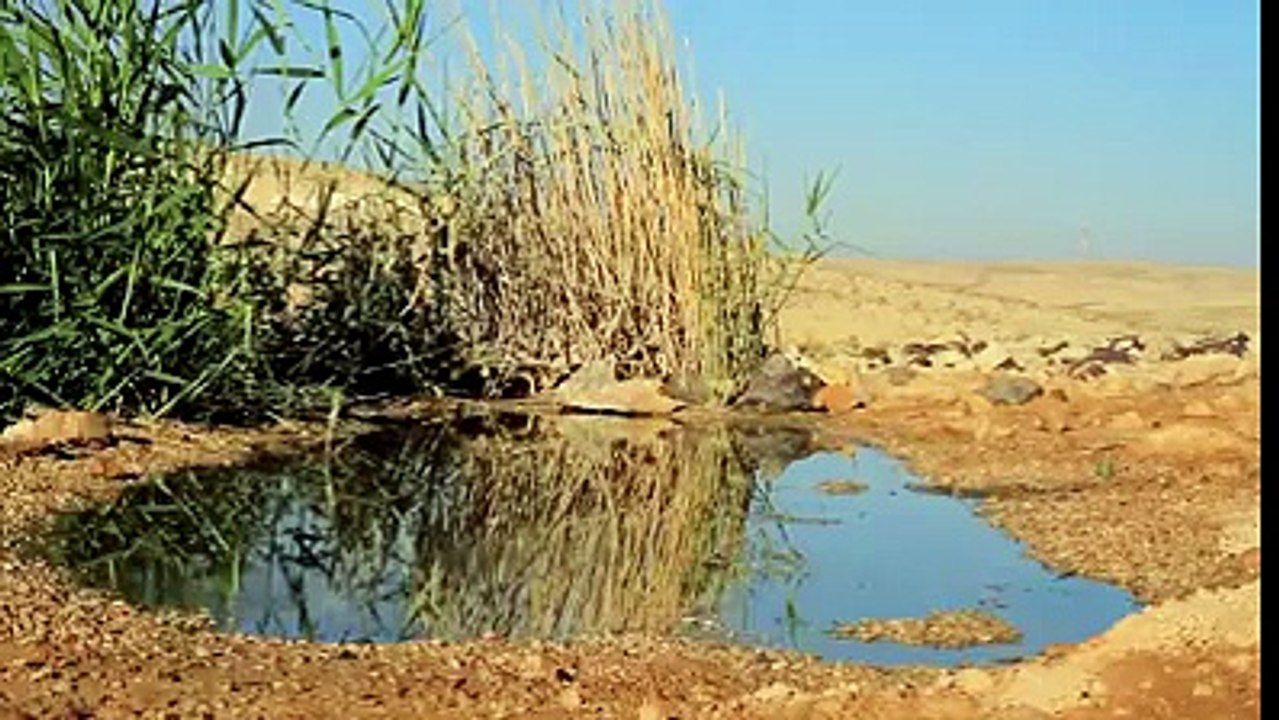 Beatufull Nature