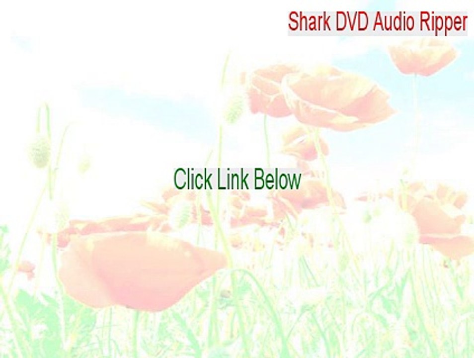 Shark DVD Audio Ripper Cracked (Shark DVD Audio Rippershark dvd audio ripper 6.5.0.2)