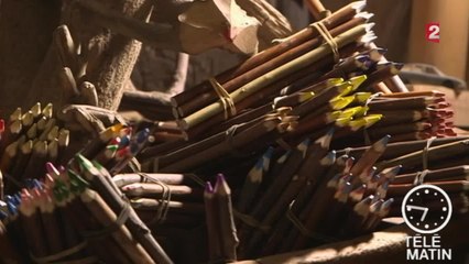 Jardin - Du saule à la couleur