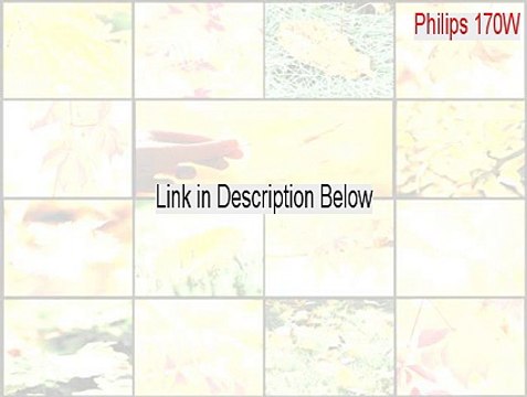 Philips 170W (17inch LCD MONITOR 170W4) Cracked (Free Download)