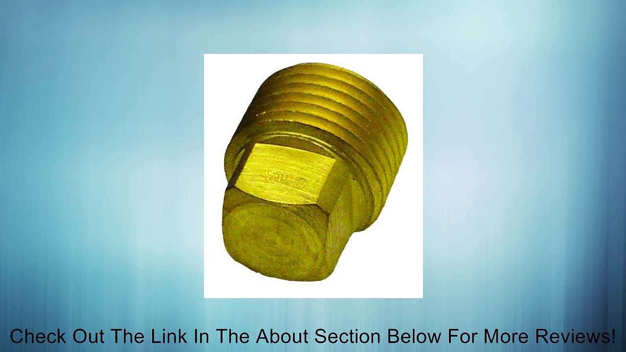 Invincible Marine Brass Garboard Plug Review