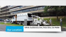 Tree Service Palo Alto - Bay Area Tree Specialists - (650) 353-5671