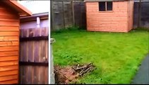 My Shed Plans  free woodworking plans  garden sheds Woodcraft