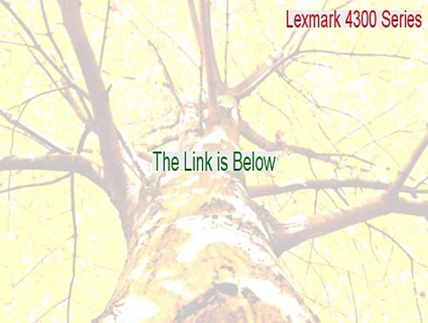 lexmark 4300