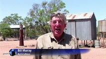 En Australie, des éleveurs face au défi de la sécheresse