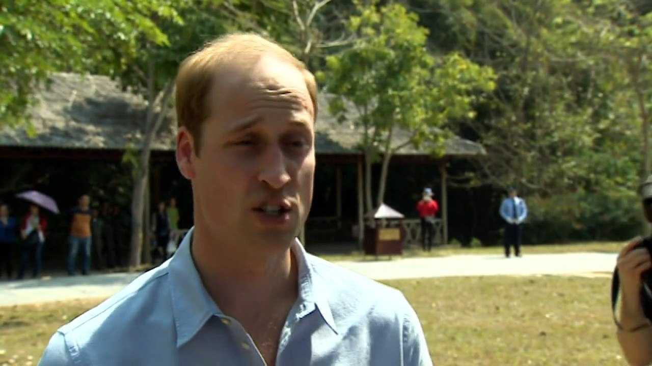 William feeds an elephant at sanctuary in China