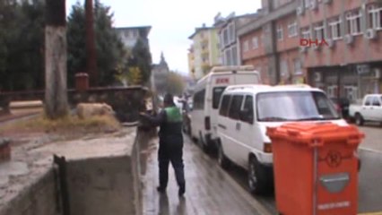 İslahiye'de Sokak Köpekleri Toplanıyor