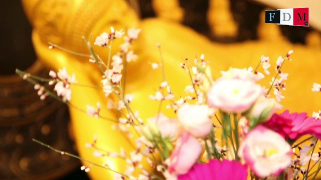 FDM Events - La fête du Nirvana