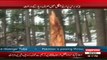 Tree Chopping illegally in kalam swat valley Report by sherin zada