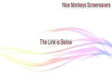 Nice Monkeys Screensavers Download [Nice Monkeys Screensavers 2015]