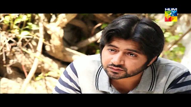 -Choti SI Ghalat Fehmi Episode 17 HUM TV Drama Feb 16, 2015 dailymotion